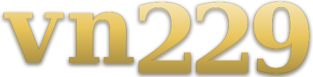 vn229 logo
